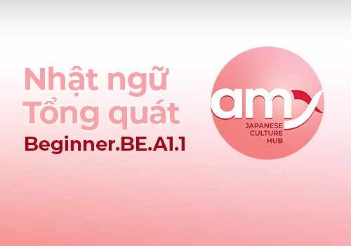 Amy Hub. Beginner.BE.A1.1